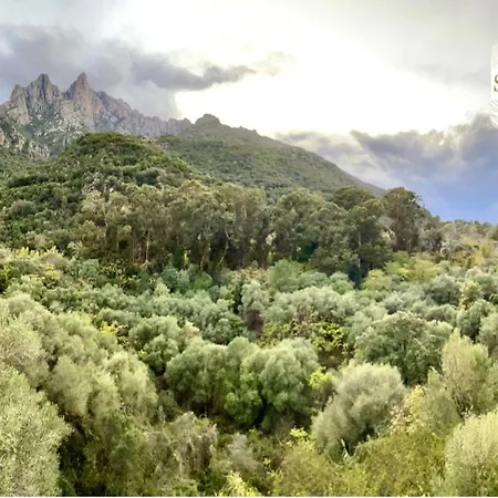 Chez Françoise Appartement *