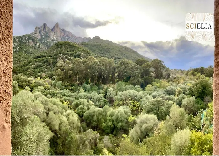 Chez Francoise Appartement *