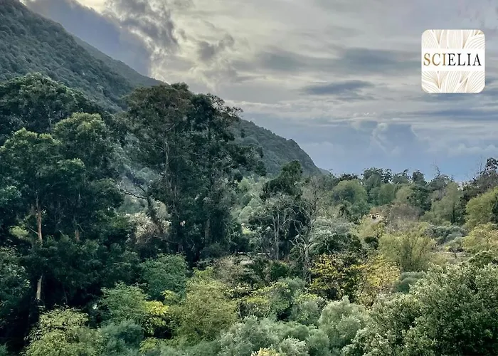 דירה Chez Francoise *